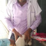 Animal Blood collection in Pinjore